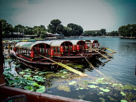 2011 06-China Old Beijing